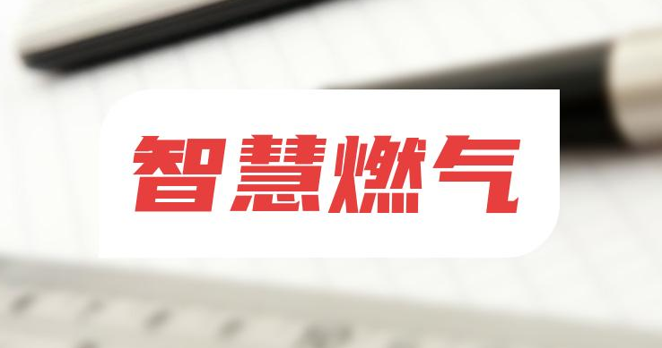 智慧燃氣安全監(jiān)管平臺：開創(chuàng)燃氣監(jiān)管新格局