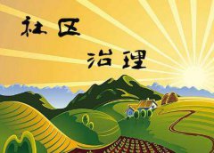 以社區(qū)微治理推動(dòng)社會治理創(chuàng)新